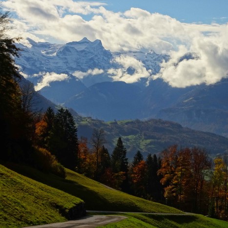 Ausblick oberhalb von Schwyz auf den Uri Rotstock