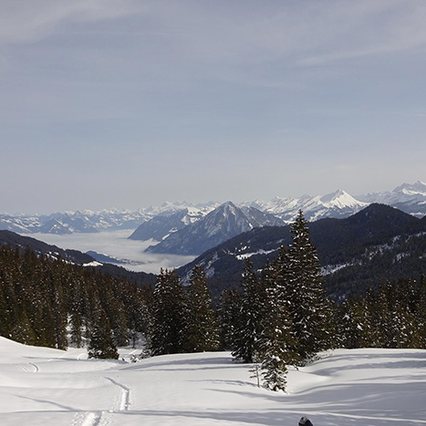 Blick Richtung Vierwaldstättersee und Glarner Alpen