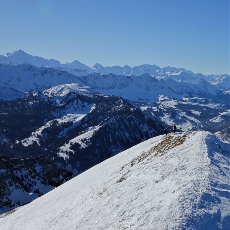 Aussicht vom Fürstein Richtung Berner Oberland