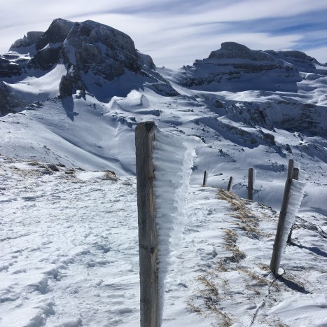 Der Wind und sein Werk auf der Bannalper Schonegg