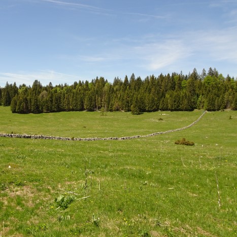 Magisch schöne Landschaft im Jura