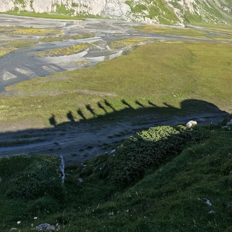 Die «Karawane» mit Blick auf den unteren Segnesboden