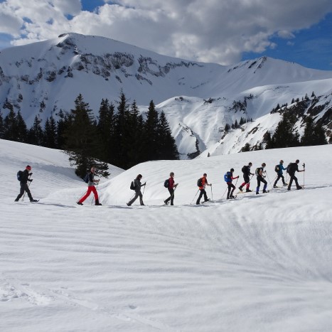Frühling im Schnee auf Lungern-Schönbüel