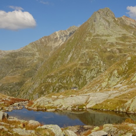 Der Terri-Hütte entgegen