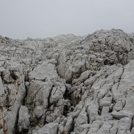 Karst wohin der Blick schweift