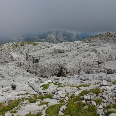 Karst wohin der Blick schweift