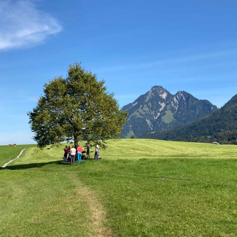 Sanfte Obwaldner Hügellandschaft mit Blick auf das Stanser Horn