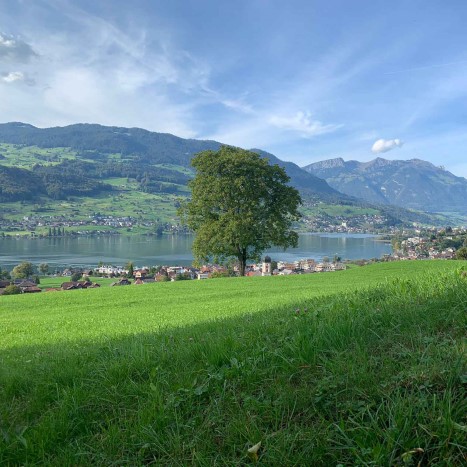 Ausblick über Sachseln