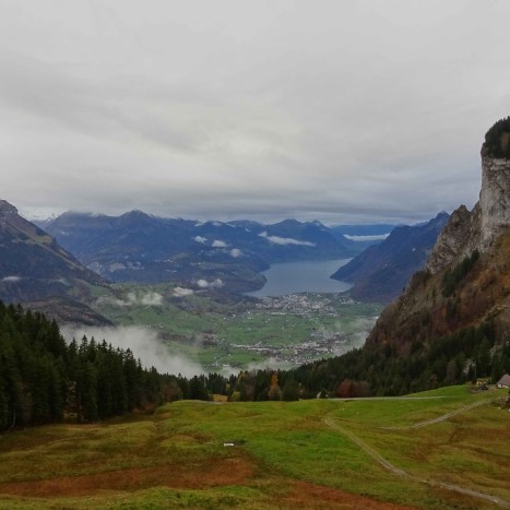 Ausblick auf die herbstliche Landschaft am Vierwaldstättersee