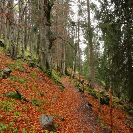 Farben und Einsamkeit unterhalb des Grossen und Kleinen Mythen