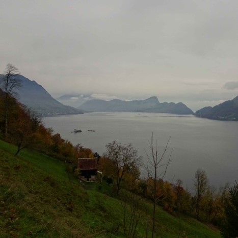 Hoch über dem Vierwaldstättersee