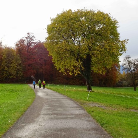 Unterwegs-Sein ... Lebensenergie und Stille zugleich