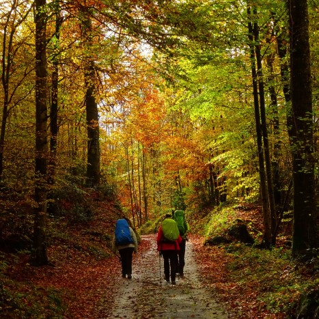 Unterwegs-Sein ... Lebensenergie und Stille zugleich