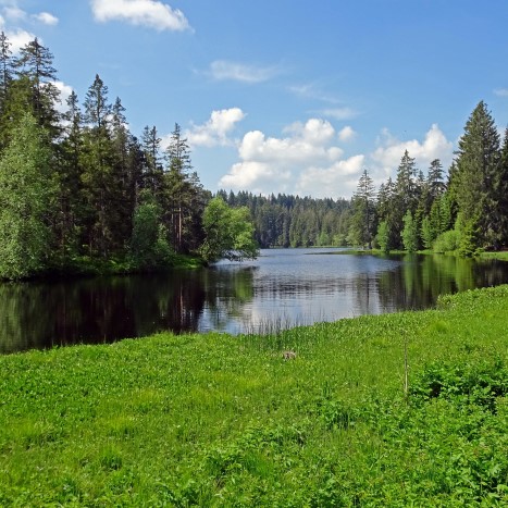 Stimmungsvoller Etang de la Gruère