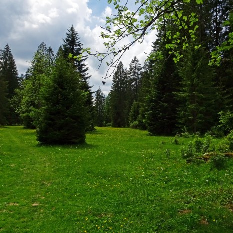 Quer durch die Wytweiden im Jura