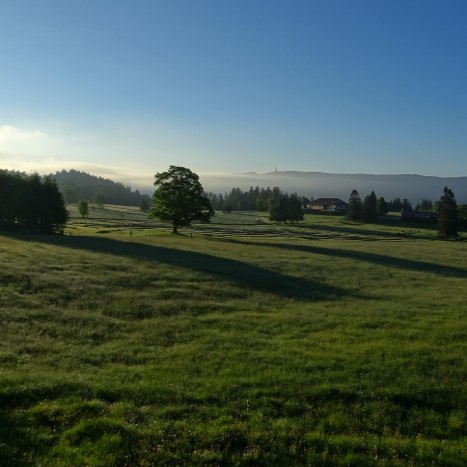 Morgenstimmung auf dem Mont Soleil