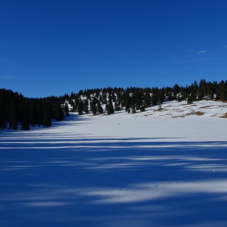 Wohltuende Weite im Jura