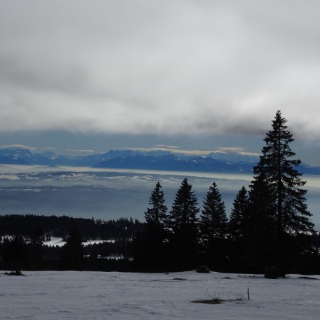 Weitblick Richtung Alpenbogen