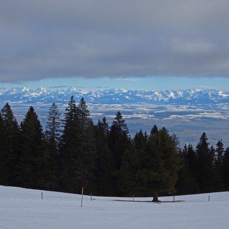 Weitblick Richtung Alpenbogen