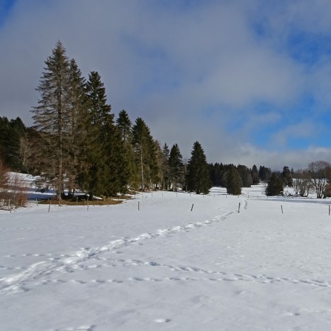 Wohltuende Weite im Jura