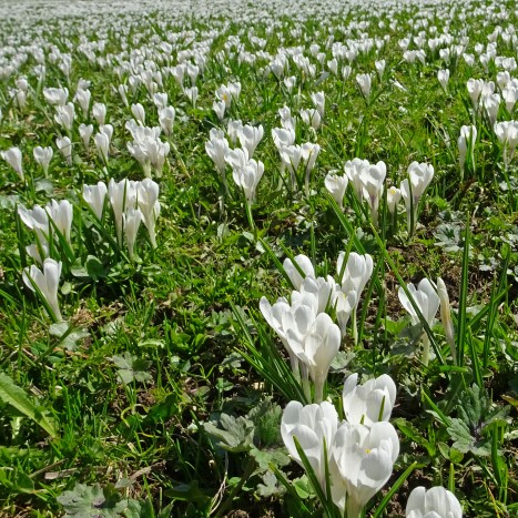 Zurück im Frühling