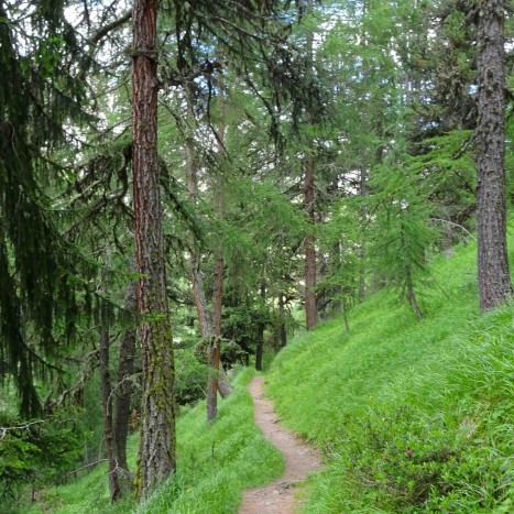 Stille Wege