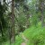 2022 nationalpark thumb 2