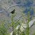 2022 nationalpark thumb 11