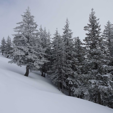 Auf dem langen Weg über die Grosse Scheidegg