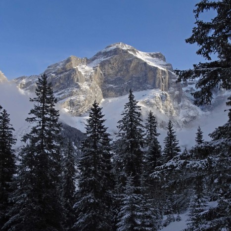 Abstieg Richtung Schwarwaldalp/Rychenbachtal