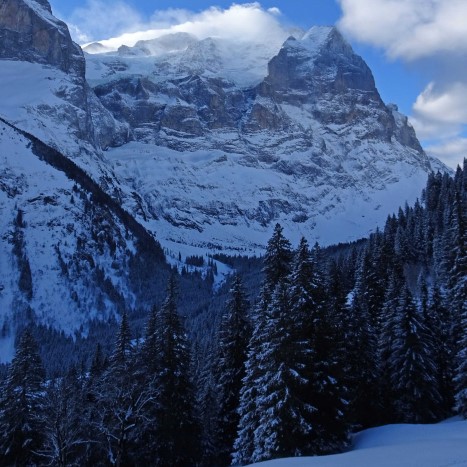 Eisiger Tagesstart auf der Schwarzwaldalp