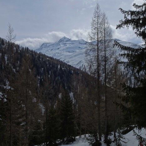 Abstieg Richtung Oberwald, im hinteren Teil des Rhonetals