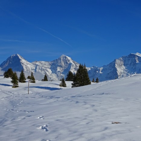 Ausblick von der Lobhornhütte zu Eiger, Mönch und Jungfrau