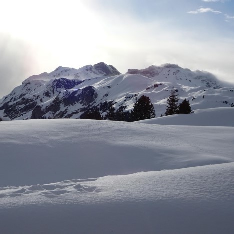 Abendstimmung auf der Engstlenalp