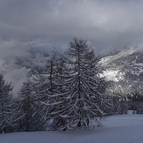 Durch frisch verschneite Landschaft mit Blick nach Bellwald