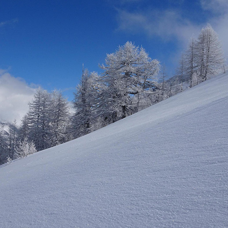 Die Spuren des nächtlichen Schneefalls