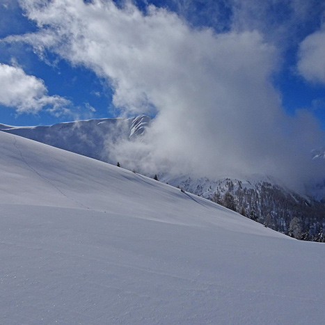 Die Spuren des nächtlichen Schneefalls