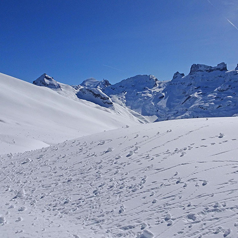 Spuren des Windes