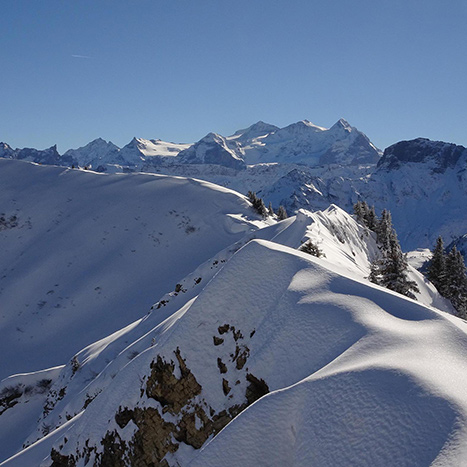 Blick vom Hörnli Richtung Wetterhorn
