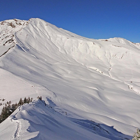 Blick Richtung Berggasthaus Schönbüel
